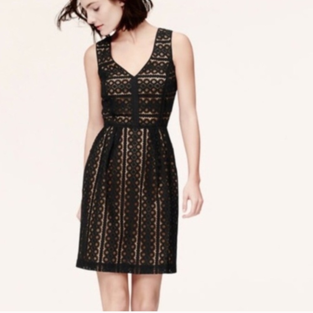 Ann Taylor LOFT fit and flare black lace dress